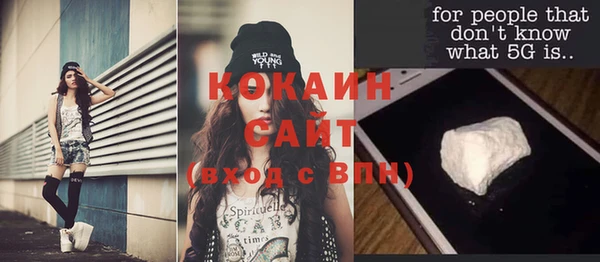 альфа пвп Гусев