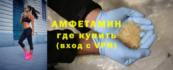 гашик Горняк