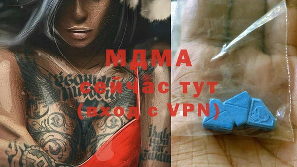 гашик Горняк