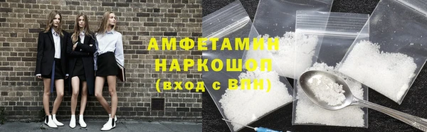 гашик Горняк