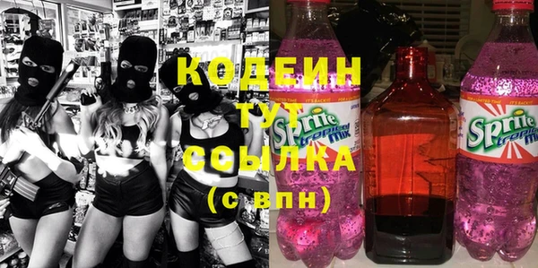 гашик Горняк